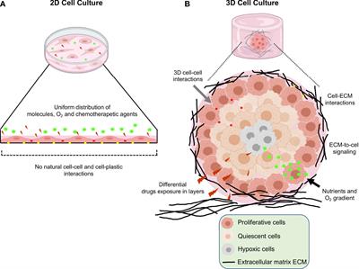 Three-Dimensional 3D Culture Models in Gynecological and Breast Cancer Research